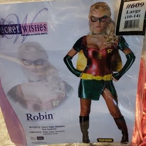 Robin Costume
